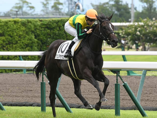 先週のjra抹消馬 19年ファンタジーs3着のクリアサウンド 17年京都新聞杯覇者のプラチナムバレットなど 競馬ニュース Netkeiba Com