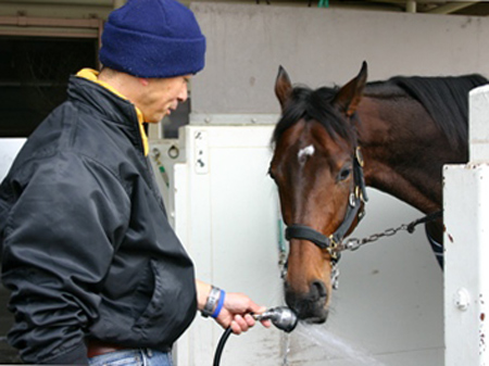 ディープインパクトにみる 遊び が深めた馬と人の絆 5 競馬ニュース Netkeiba Com