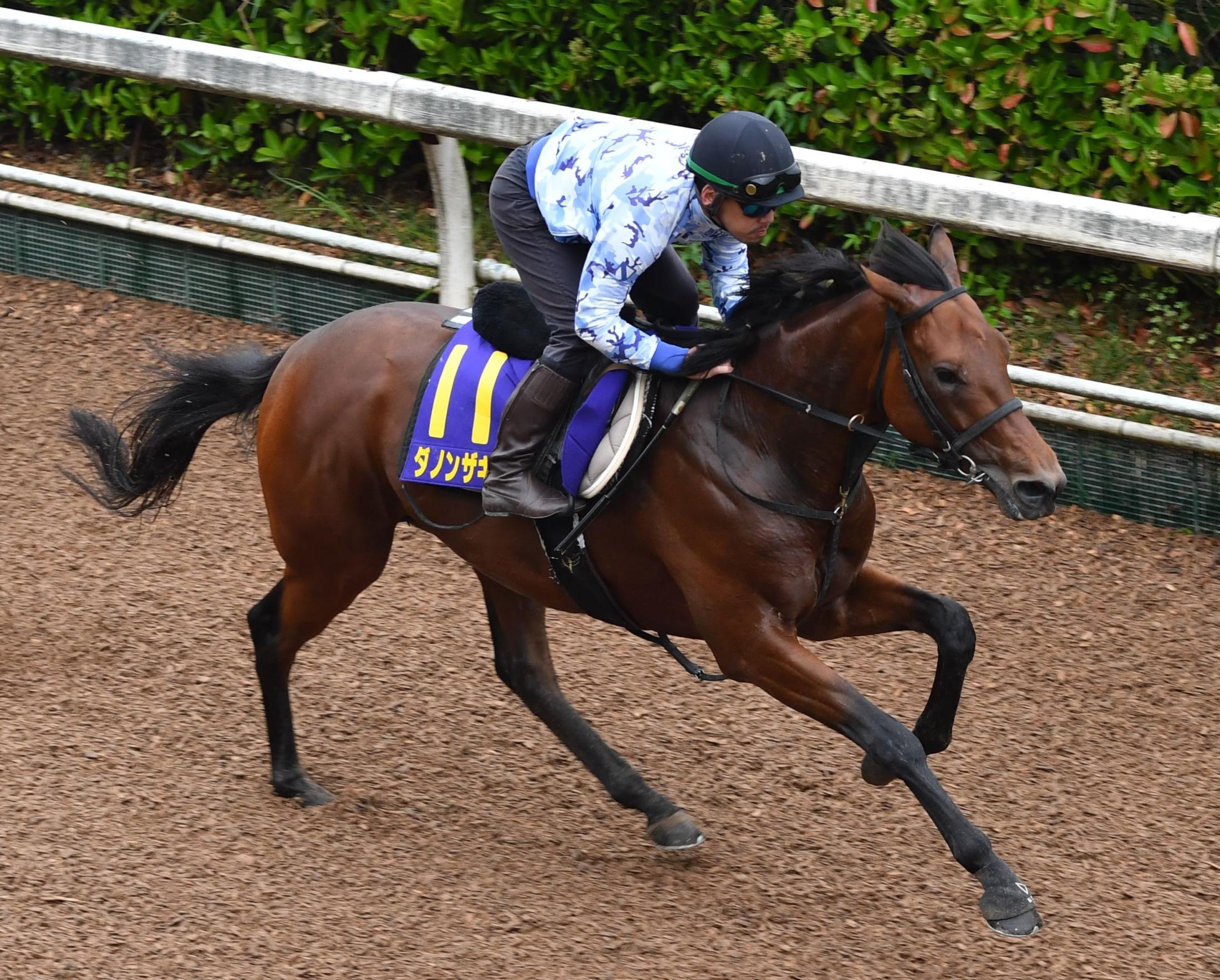 ダノンザキッド骨折 ダービー回避 全治３カ月以上 競馬ニュース Netkeiba Com