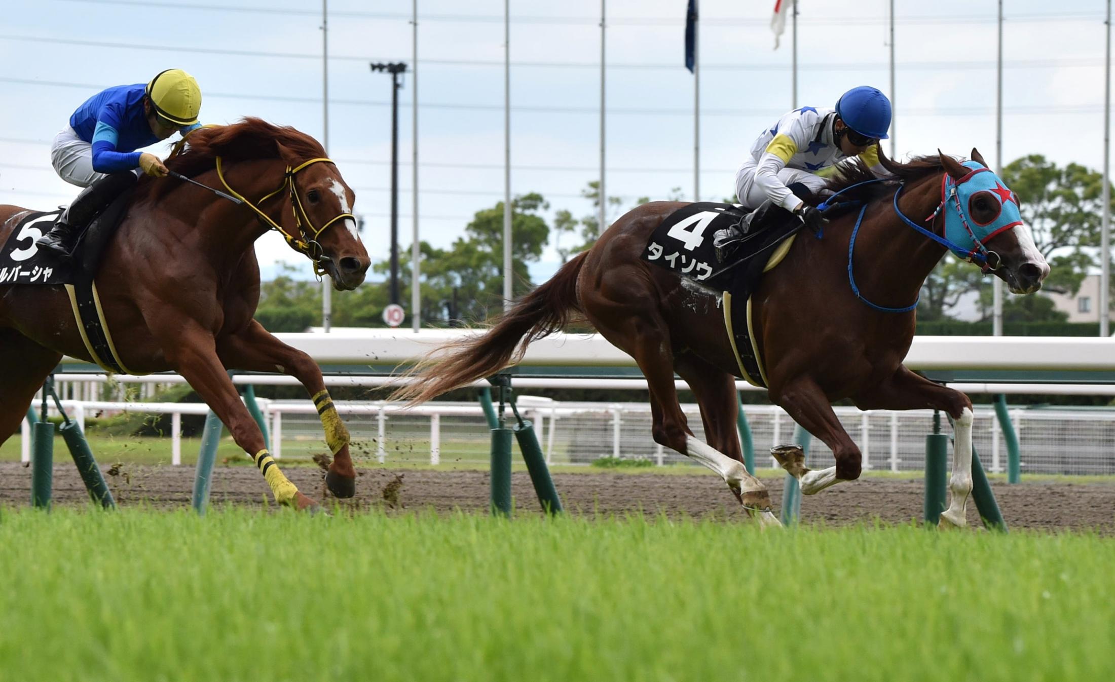 メルボルンｔ タイソウが首差しのいでｖ 初コンビの団野 背中のいい馬 競馬ニュース Netkeiba Com