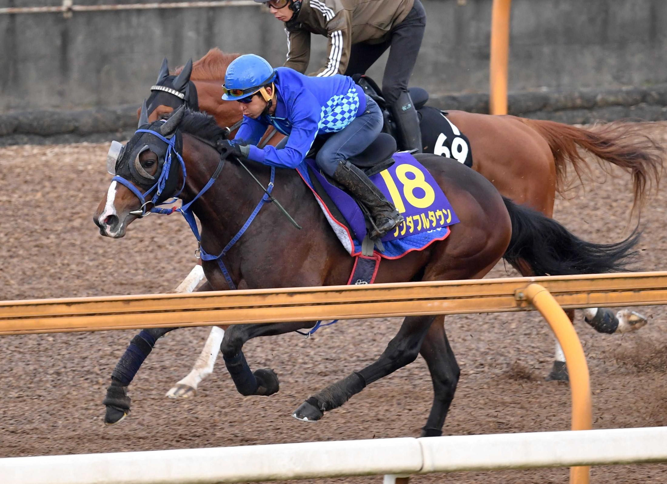 日本ダービー ワンダフルタウンが４馬身半先着リハ 和田竜ベタ褒め 理想とする形 競馬ニュース Netkeiba Com