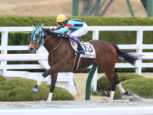 é–¢æ±ã‚ªãƒ¼ã‚¯ã‚¹ 6æœˆ16æ—¥ å·å´Ž Jraæ‰€å±žé¦¬ã®å‡ºèµ°äºˆå®šé¦¬ãŠã‚ˆã³è£œæ¬ é¦¬ã«ã¤ã„ã¦ ç«¶é¦¬ãƒ‹ãƒ¥ãƒ¼ã‚¹ Netkeiba Com