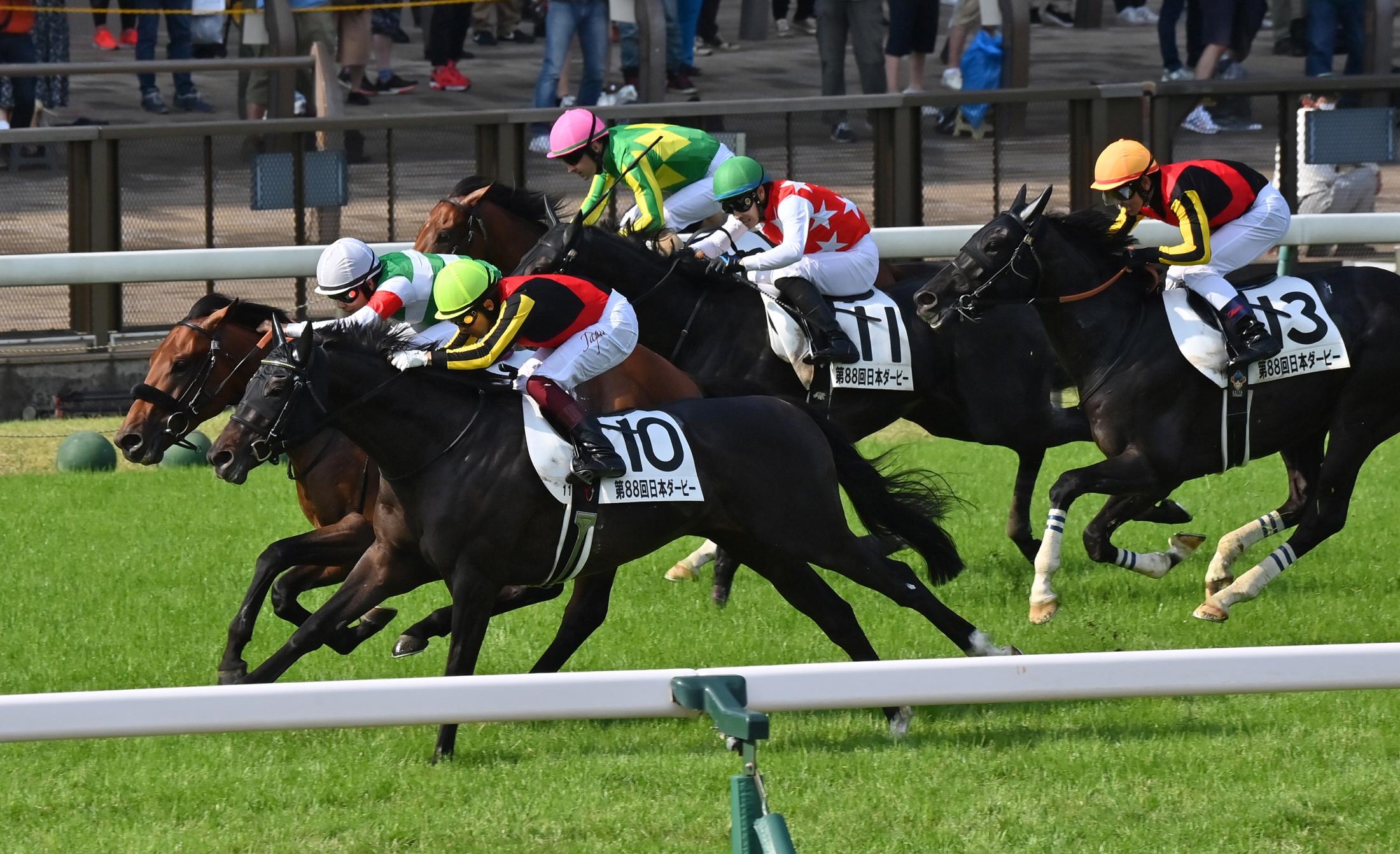 関口房朗氏 米国馬デノンを購買 競馬ニュース Netkeiba Com