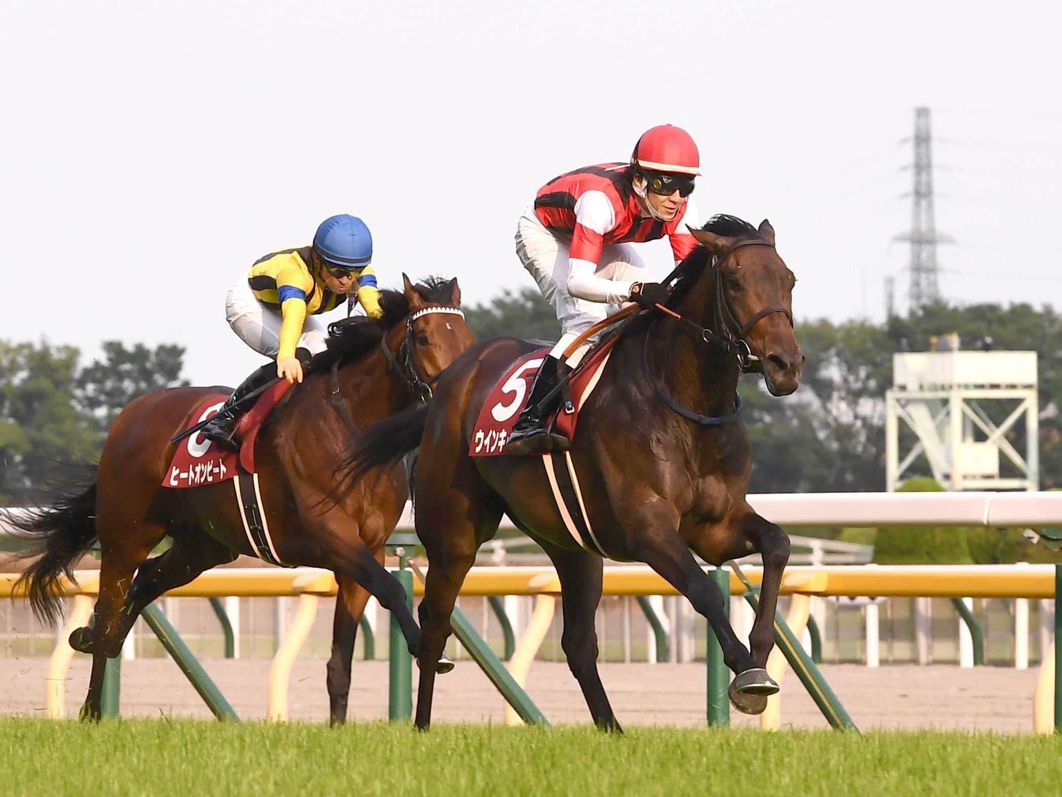 関口房朗氏 米国馬デノンを購買 競馬ニュース Netkeiba Com