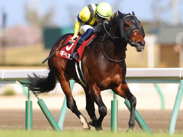 安田記念 チークピーシーズ効果で勢い取り戻した素質馬ギベオンが得意舞台で激走 トレセン発秘話 競馬ニュース Netkeiba Com