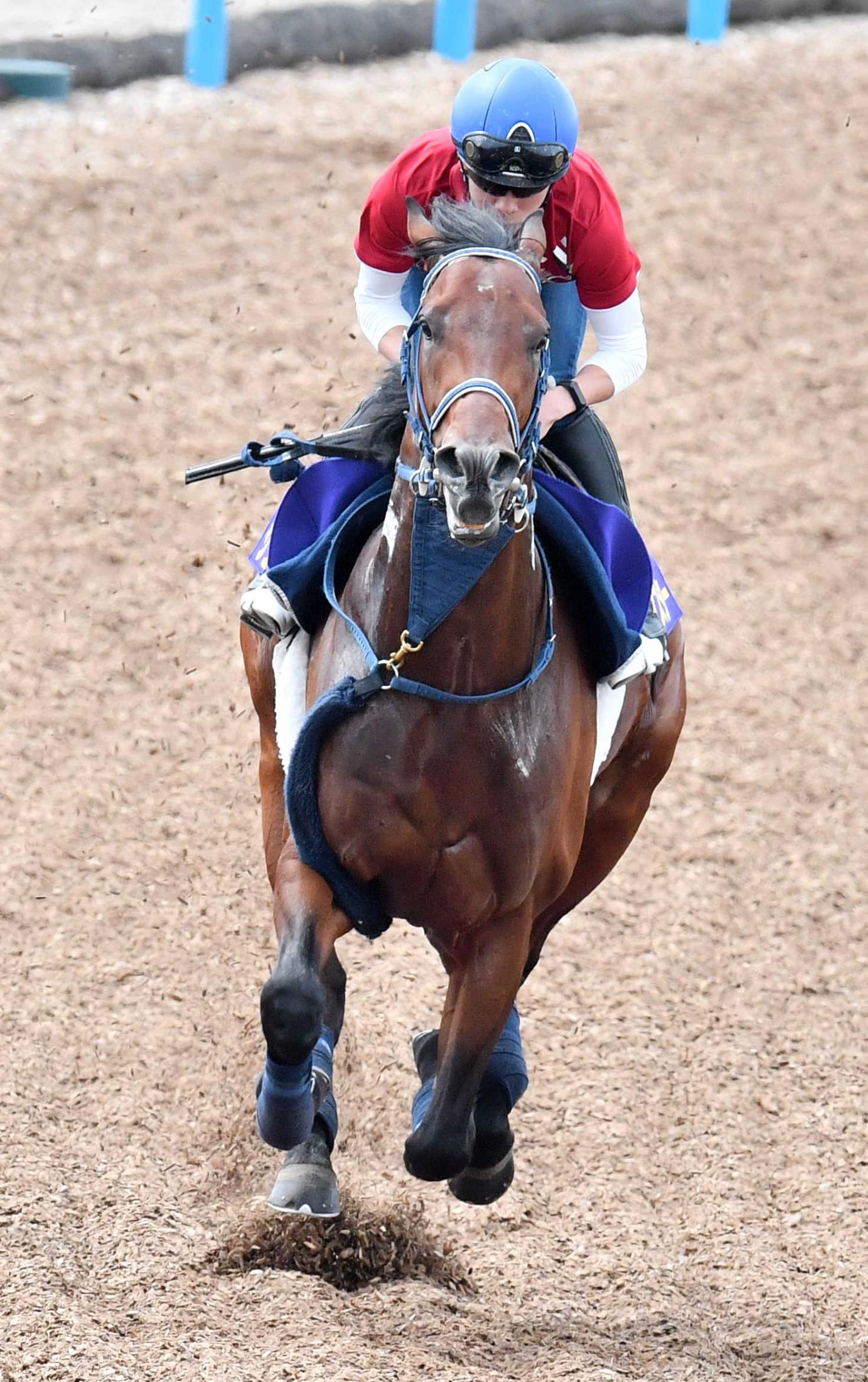 安田記念 シュネルマイスター軽快走 史上２頭目３歳馬ｖへ仕上がった 競馬ニュース Netkeiba Com