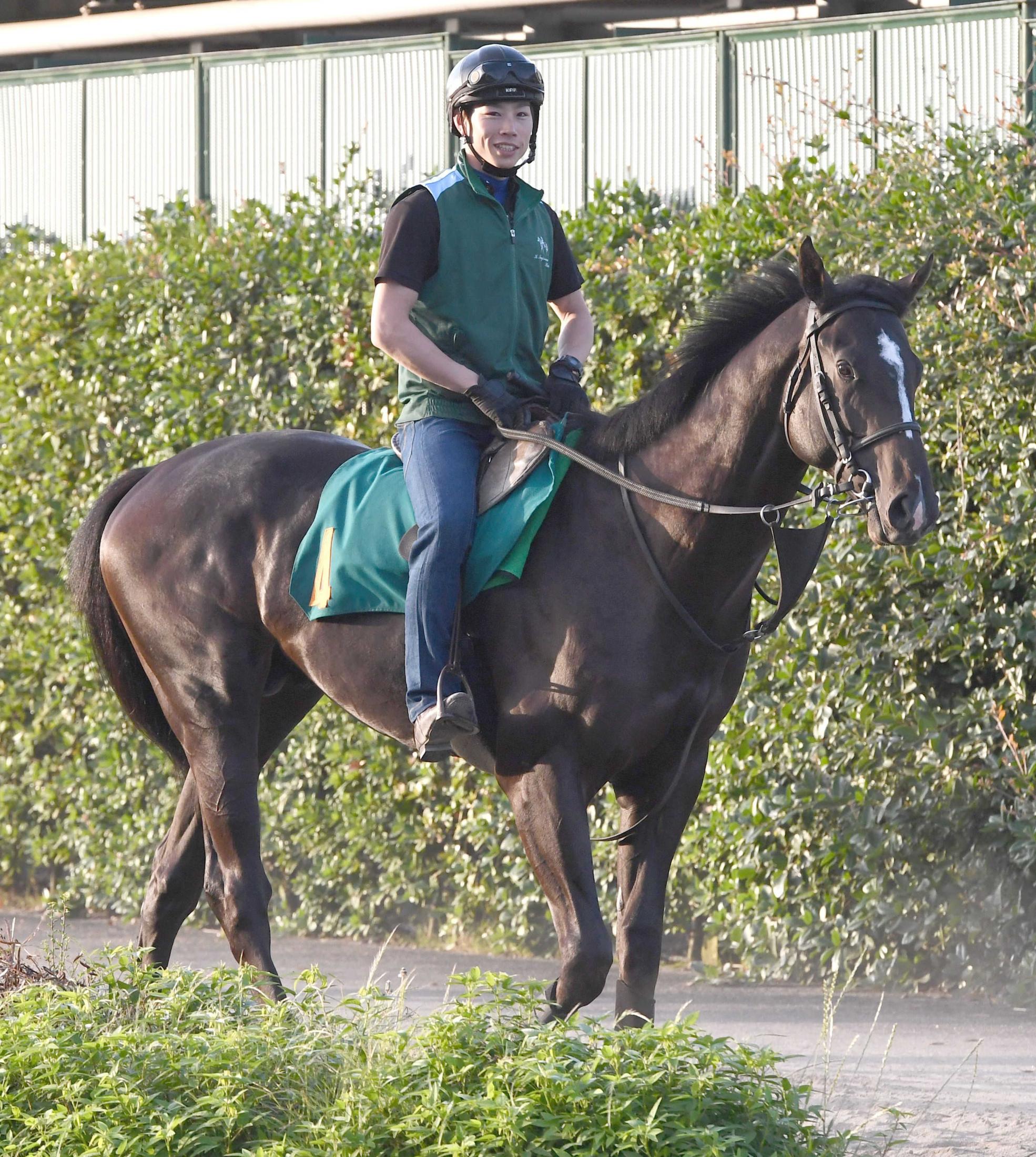 ワンクールキャット G1 2連勝 競馬ニュース Netkeiba Com