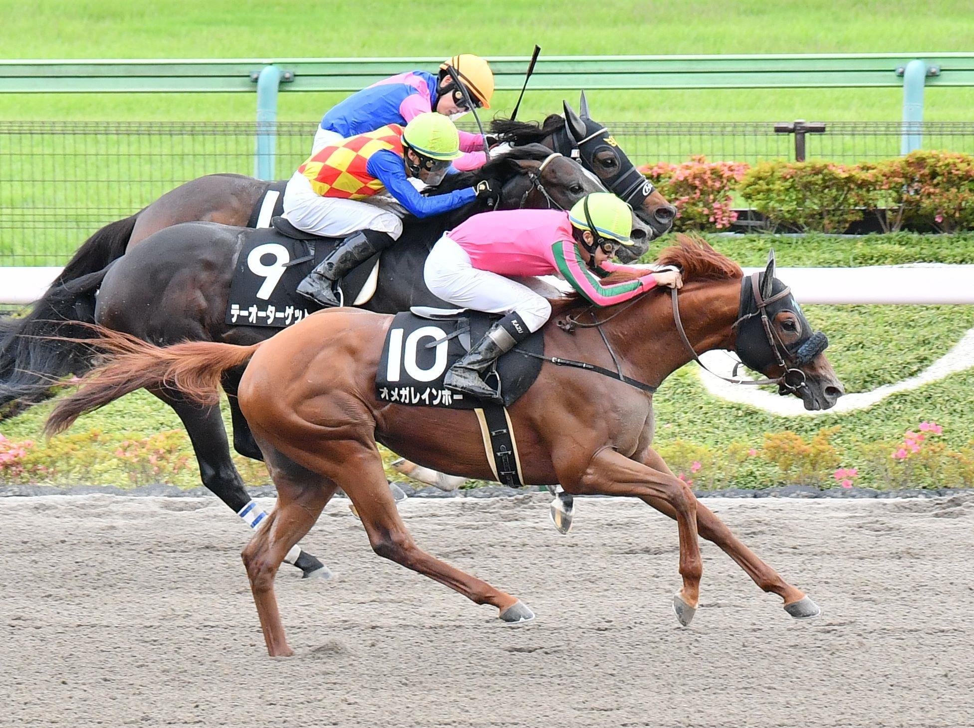 【アハルテケＳ】オメガレインボー、ＯＰ特別初勝利　安田翔師「学習能力が高い」