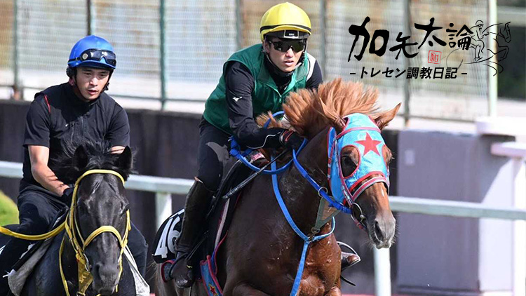 障害練習をした馬が平地で続々好走中！「馬が見違えた」その理由に迫る