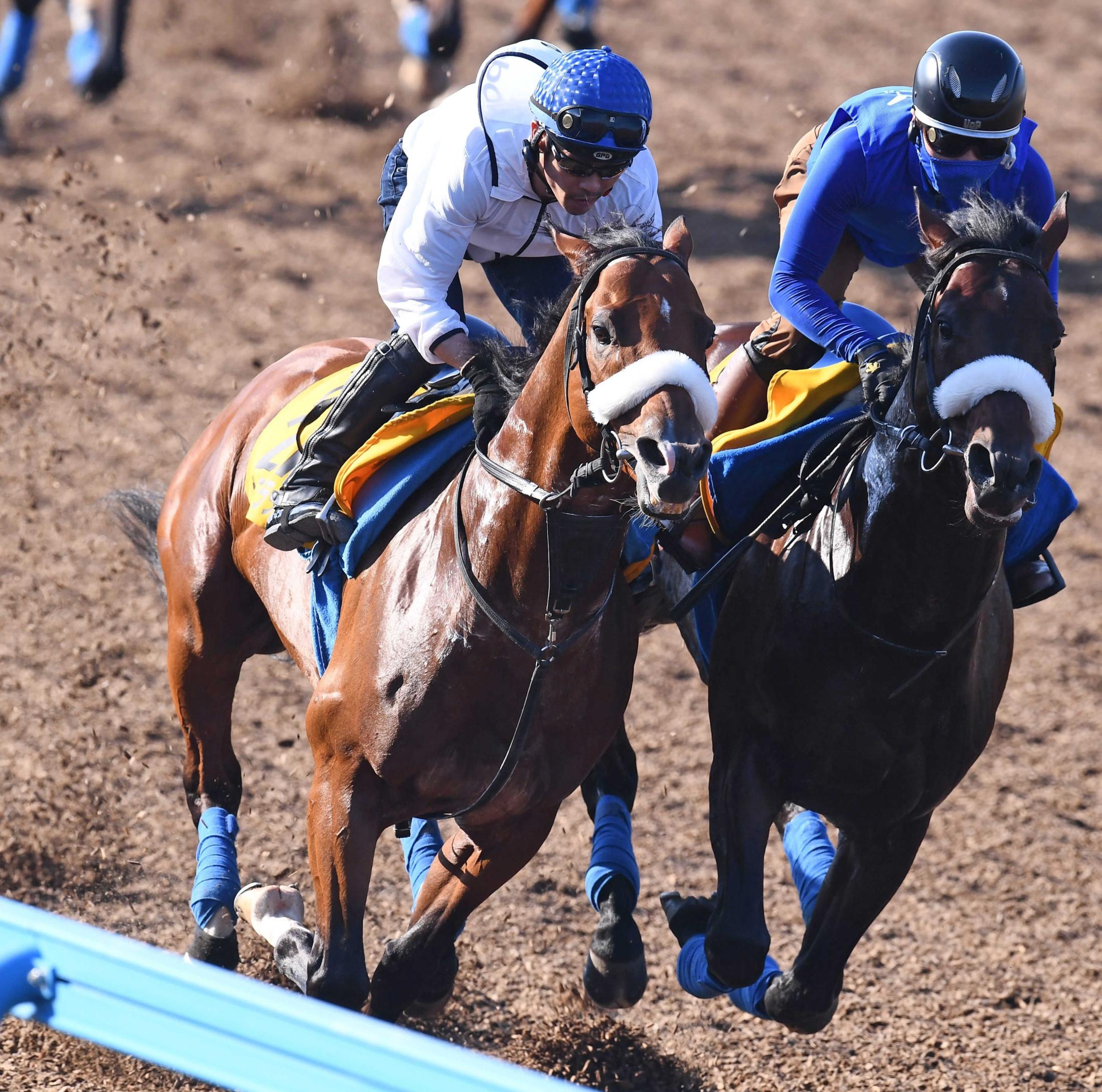 エプソムｃ サトノフラッグ好仕上がりも 国枝師 もう少しピリッとして 競馬ニュース Netkeiba Com