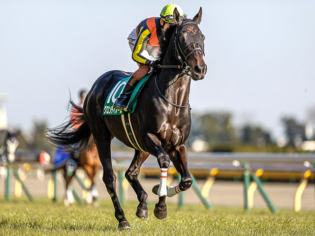 Jra グロンディオーズが骨折 全治3ヶ月以上 今年のダイヤモンドs覇者 競馬ニュース Netkeiba Com