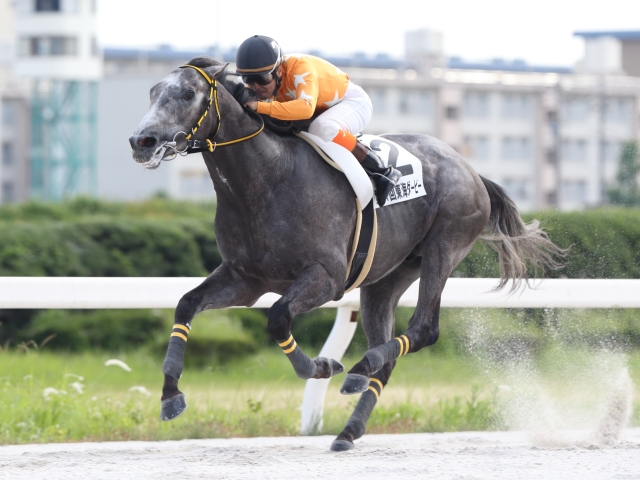 名古屋 東海ダービー結果 トミケンシャイリが逃げ切り快勝 競馬ニュース Netkeiba Com