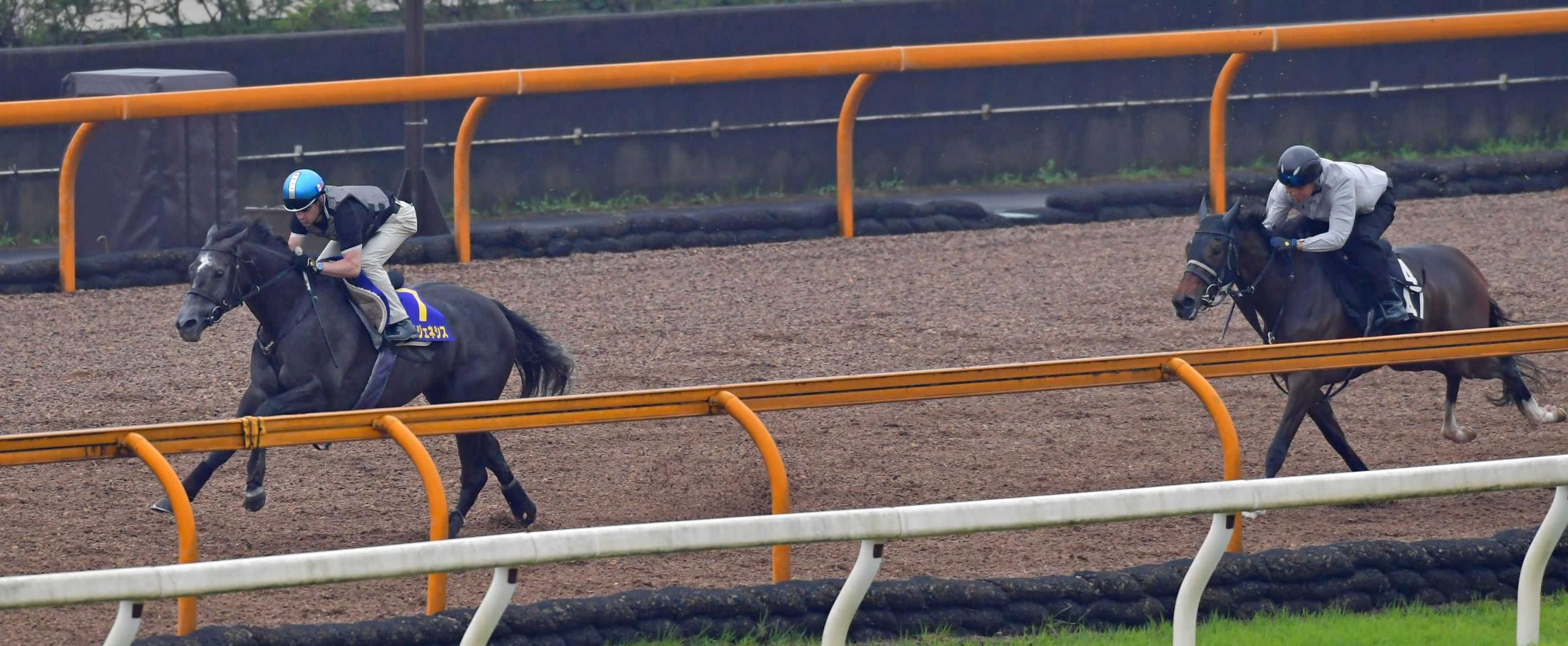 競馬ゲームの新作が続々発表 競馬ニュース Netkeiba Com