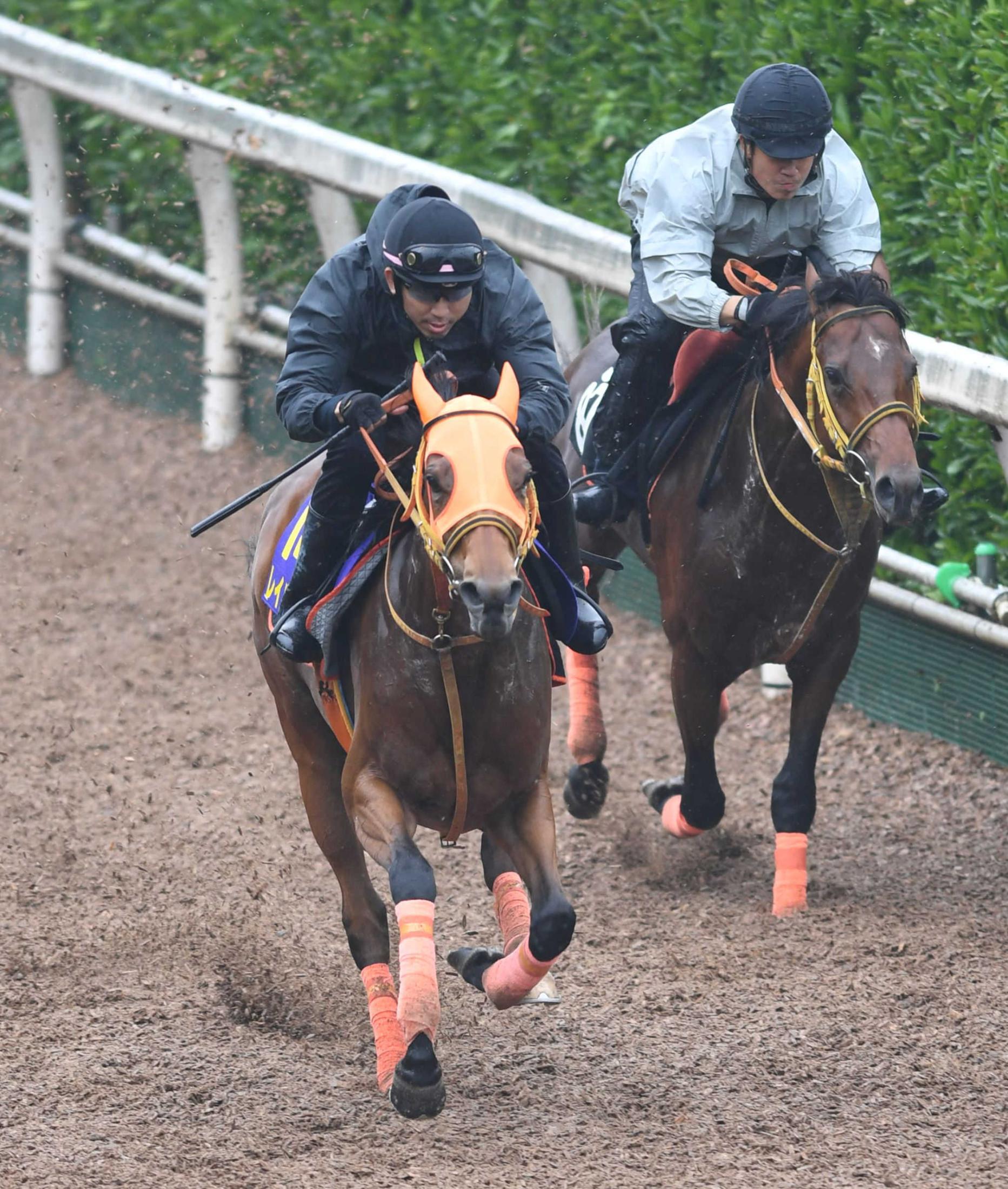 競馬ゲームの新作が続々発表 競馬ニュース Netkeiba Com