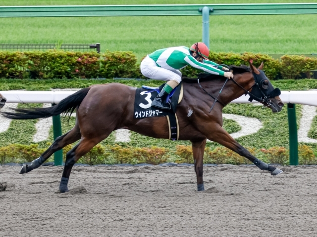 江田照男のニュース 最新情報 競馬まとめ Netkeiba Com