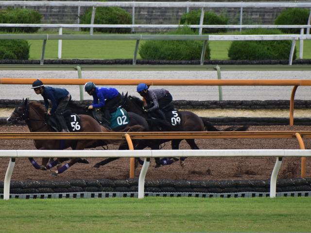 ジョージワシントン クラシックへ名乗り 競馬コラム Netkeiba Com