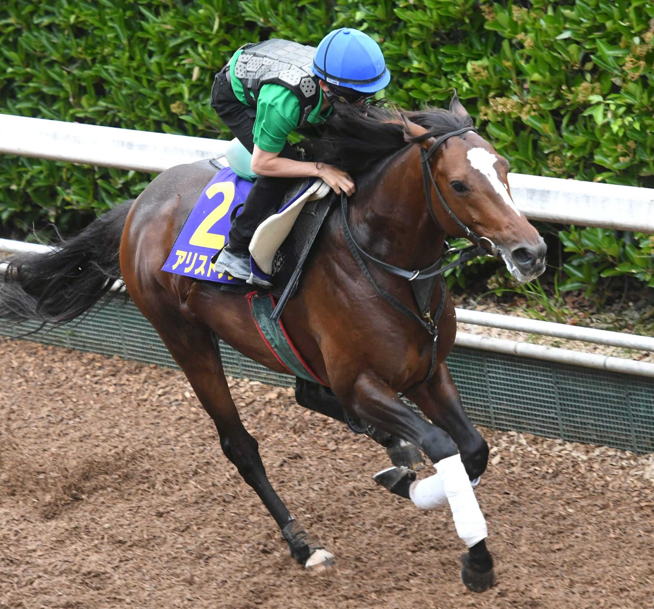 宝塚記念 アリストテレス 上昇ムード 長距離戦続きのダメージなし 競馬ニュース Netkeiba Com