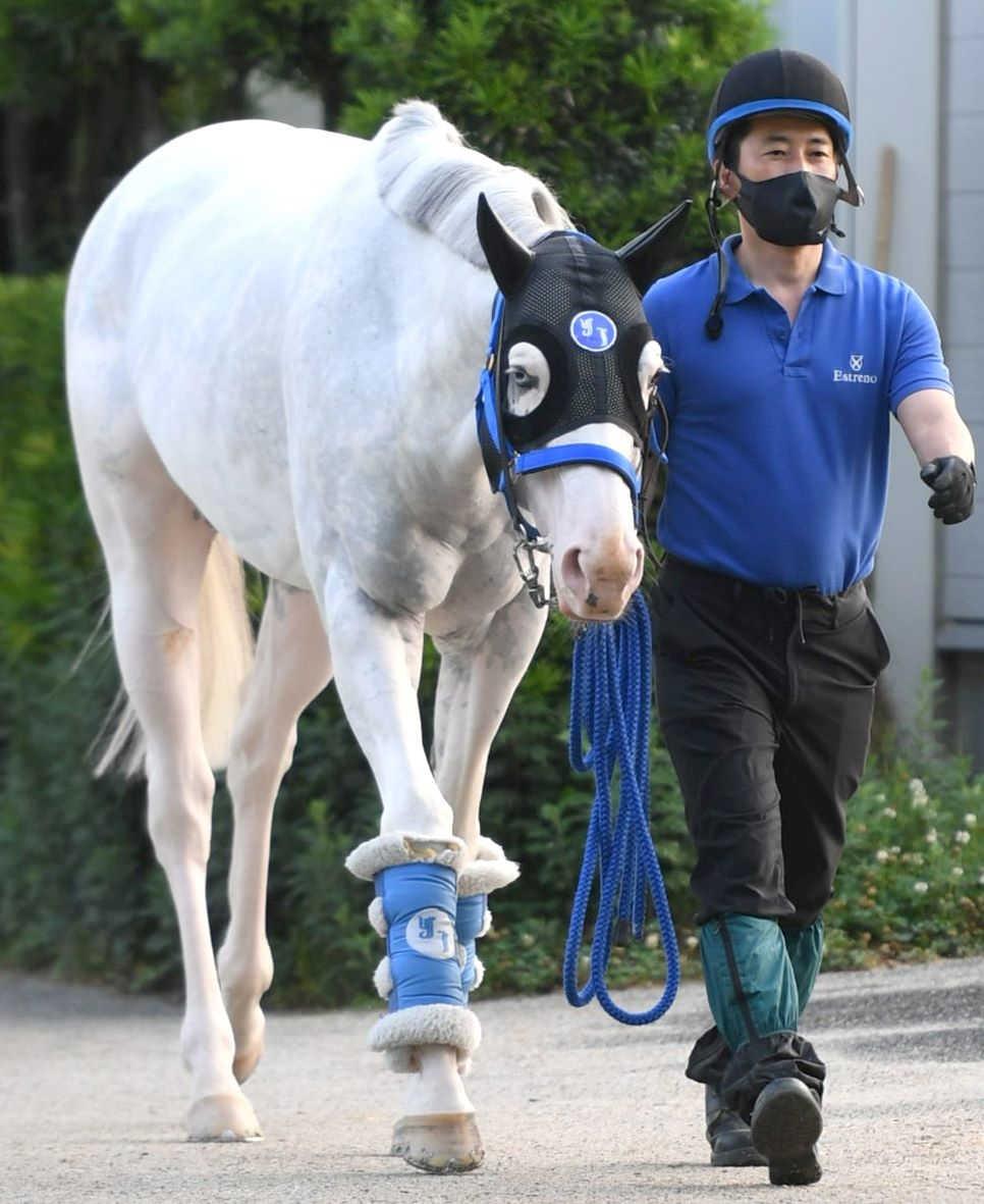 宝塚記念 シロニイ雨で一発 白毛一族の勢い乗って波乱起こす ５枠６番に陣営納得 競馬ニュース Netkeiba Com