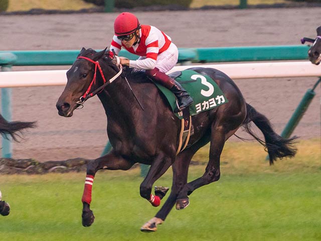 Cbc賞予想オッズ ヨカヨカが単勝2 0倍で予想1番人気に 競馬ニュース Netkeiba Com