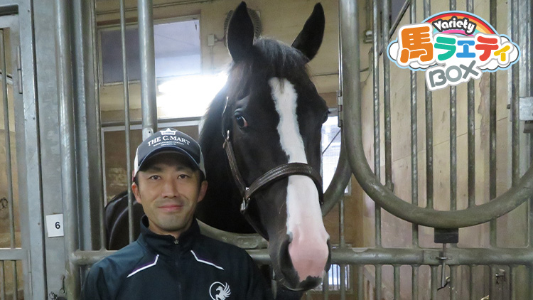 【天皇賞・秋】イクイノックスは牡馬としての自信がついたみたい？ ゆるい出馬表