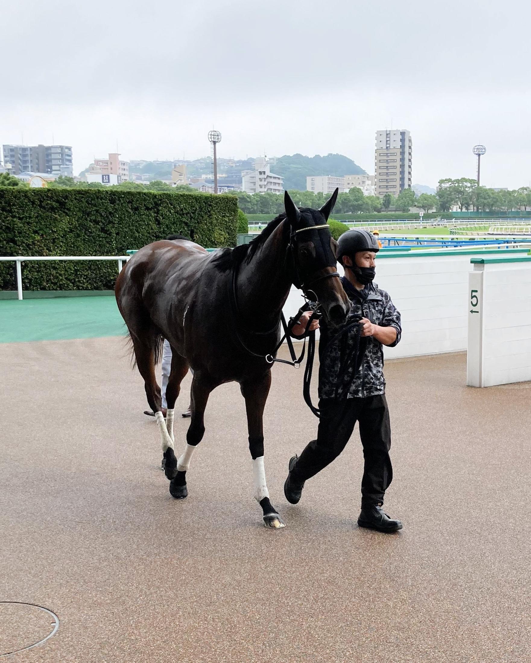 小倉開幕日に日本レコード連発 エスコーラ プリモダルクが記録更新 競馬ニュース Netkeiba Com