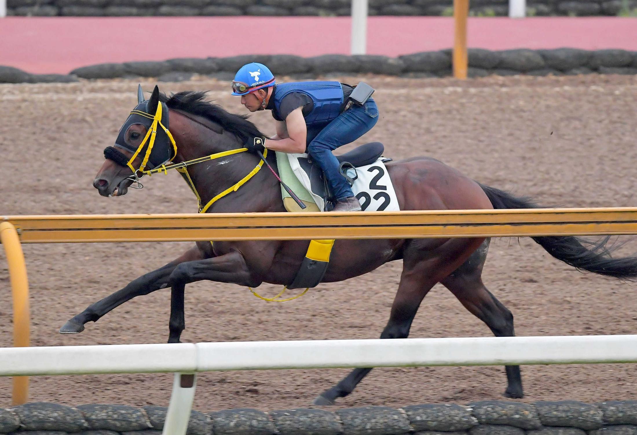 プレザントリーパーフェクト リベンジなるか 競馬ニュース Netkeiba Com