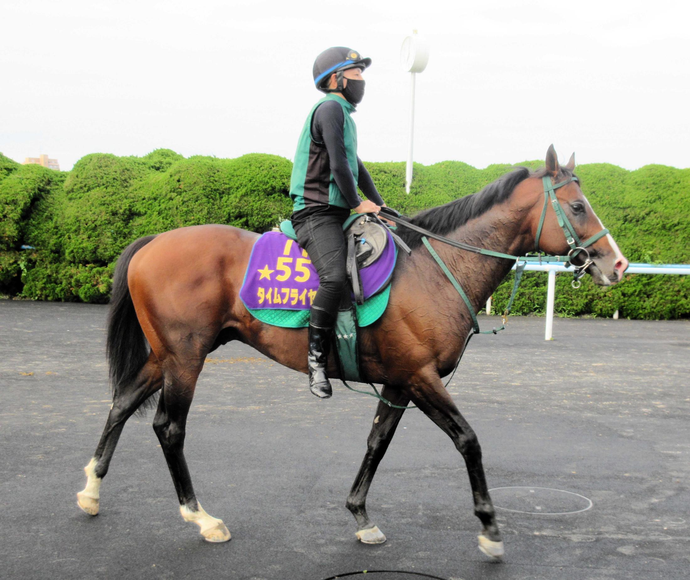 プレザントリーパーフェクト リベンジなるか 競馬ニュース Netkeiba Com