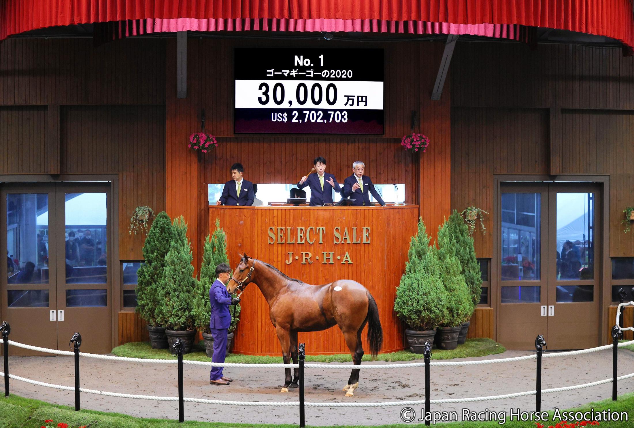 セレクトセール ディープ産駒 ゴーマギーゴー２０ が３億円で落札 競馬ニュース Netkeiba Com