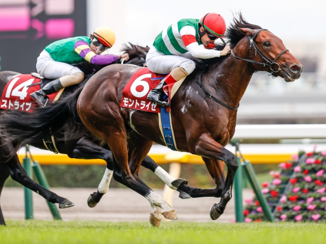 アイビスsd展望 直線1000mの名物重賞 あの馬に期待したい 競馬ニュース Netkeiba Com