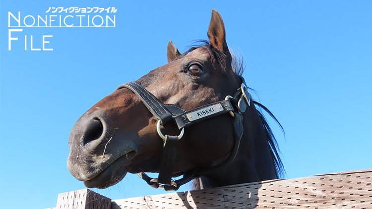【有馬記念】ターフを去ってから1年 多くのファンに愛された“無事是名馬”──父になったキセキのいま