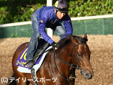 スプリンターズS・有力馬情報(1)ロードカナロア | 競馬ニュース