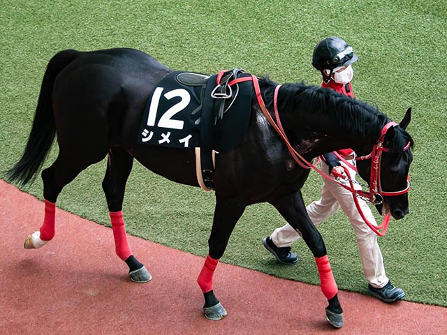 先週のjra抹消馬 ヨシオの半弟シメイ 障害競走のベテラン馬2頭など 競馬ニュース Netkeiba Com