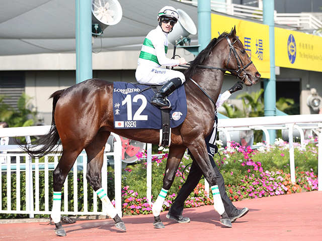 キセキ 暮れの香港遠征視野 今秋も始動は京都大賞典から 競馬ニュース Netkeiba Com