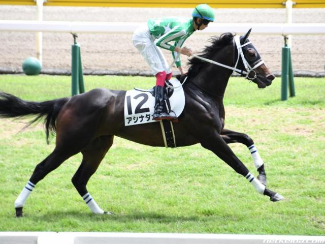 【8/7の注目厩舎・大久保龍志厩舎】アシナダカ小回りコースで反撃態勢/馬三郎