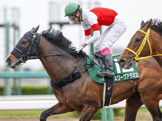 エルムs予想 北海道ダートシリーズ好走馬は再度走る 人気サイドと中穴押さえで馬券を組め 競馬ニュース Netkeiba Com