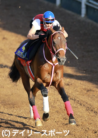 初体験の電撃戦 グランプリボスに矢作師 楽しみしかない スプリンターズs 競馬ニュース Netkeiba Com