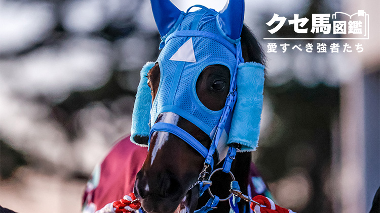 【クセ馬図鑑 #5】5人を一気に吹き飛ばした!? 賢すぎるオジュウチョウサンの人間のようなエピソード「常識では測れない馬でした」