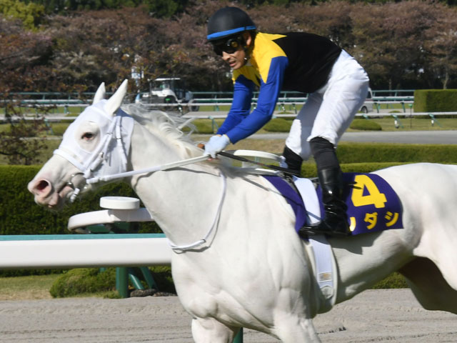 白毛の桜花賞馬ソダシ参戦！ GII札幌記念に注目/今週の競馬界の