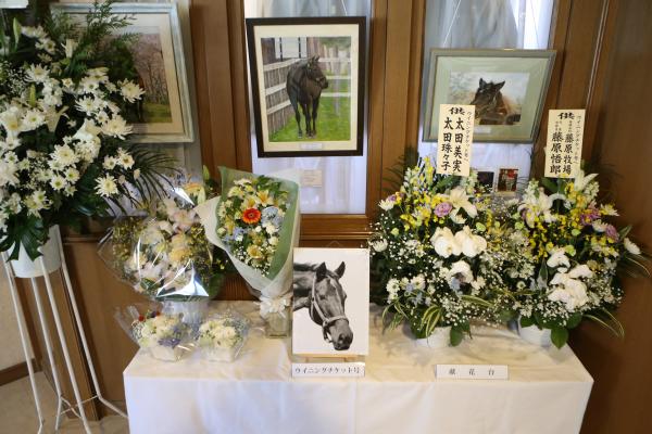 ウイニングチケット、逝く