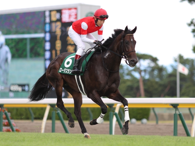 関屋記念レース後コメント ロータスランド田辺裕信騎手ら 競馬ニュース Netkeiba Com