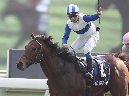 単勝1.4倍、短距離王ロードカナロアが断然の1番人気に/スプリンターズS前日オッズ
