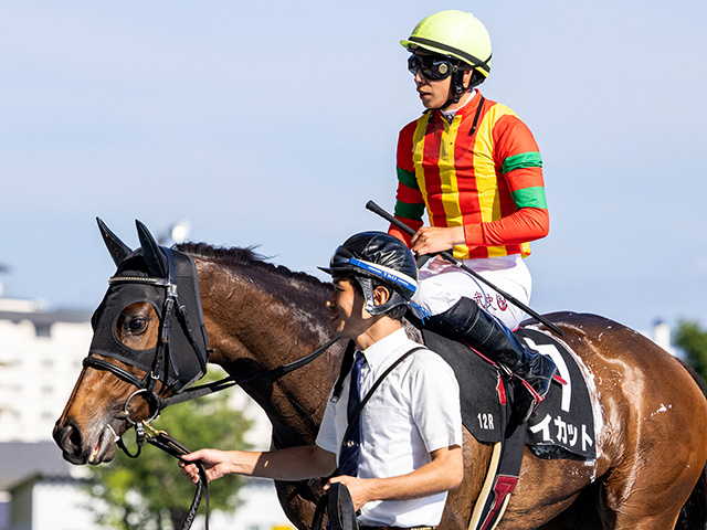 エントシャイデンとイカットがフランスのg1に登録 競馬ニュース Netkeiba Com