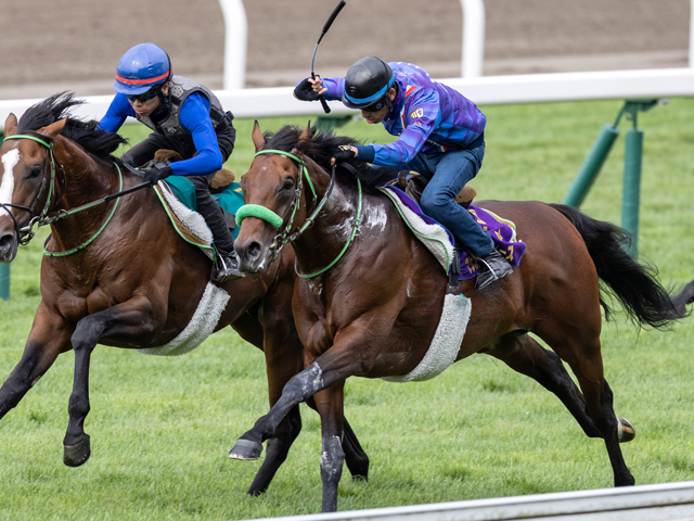 札幌記念予想 人気の好実績ノーザンファーム生産馬に落とし穴 Jraレース展望 競馬ニュース Netkeiba Com