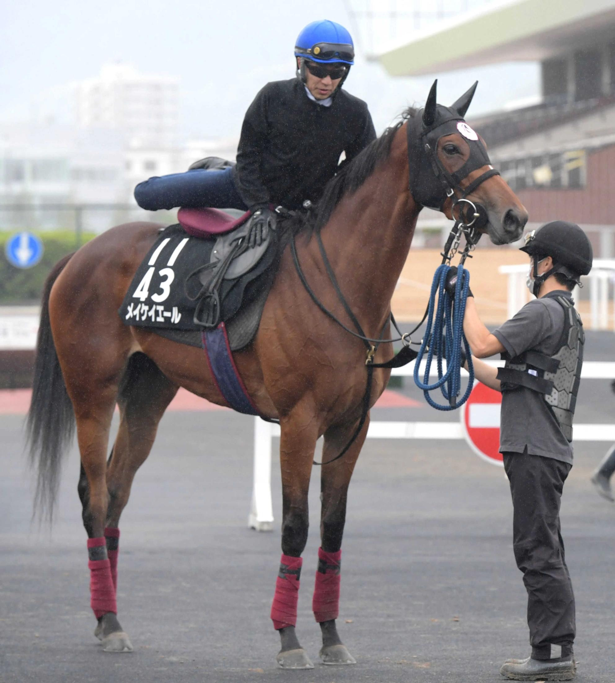 キーンランドｃ メイケイエール 汚名返上 桜花賞は 大暴走 距離短縮で活路 競馬ニュース Netkeiba Com