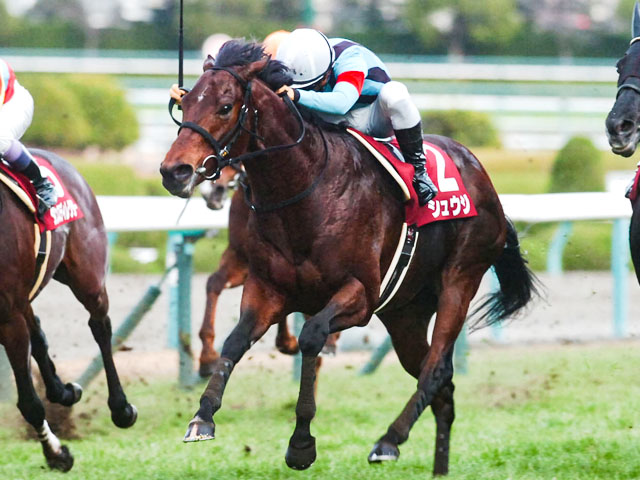 田辺裕信騎手が史上40人目のjra通算1000勝 また1001勝から頑張りたい 競馬ニュース Netkeiba Com