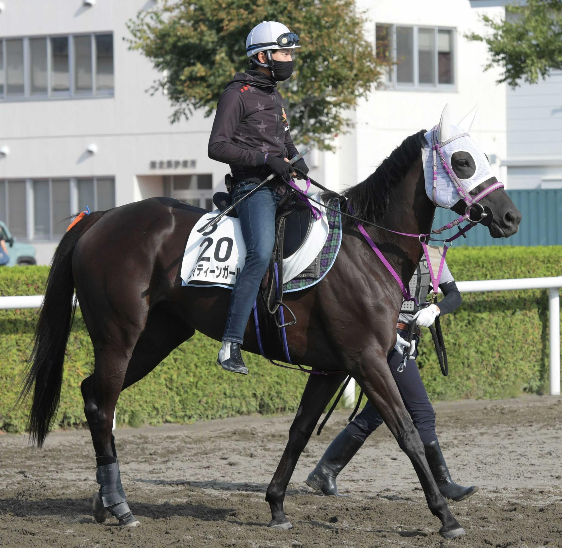 キーンランドｃ エイティーンガール上積み十分 陣営 コンディションいい 競馬ニュース Netkeiba Com