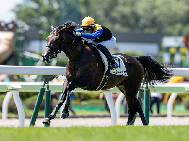 見つけた人ラッキー！ 競馬 ワイルドモア トウメイ 蹄鉄 競馬