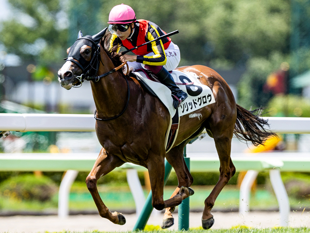 小倉2歳s予想 ショウナンマッハvsスリーパーダ いやメイケイエールvsモントライゼ Jra重賞レース展望 競馬ニュース Netkeiba Com