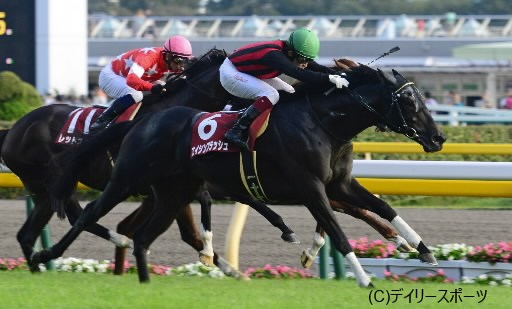 エイシンフラッシュが秋初戦V、福永は「6歳でも衰えはない」/毎日王冠 | 競馬ニュース - netkeiba