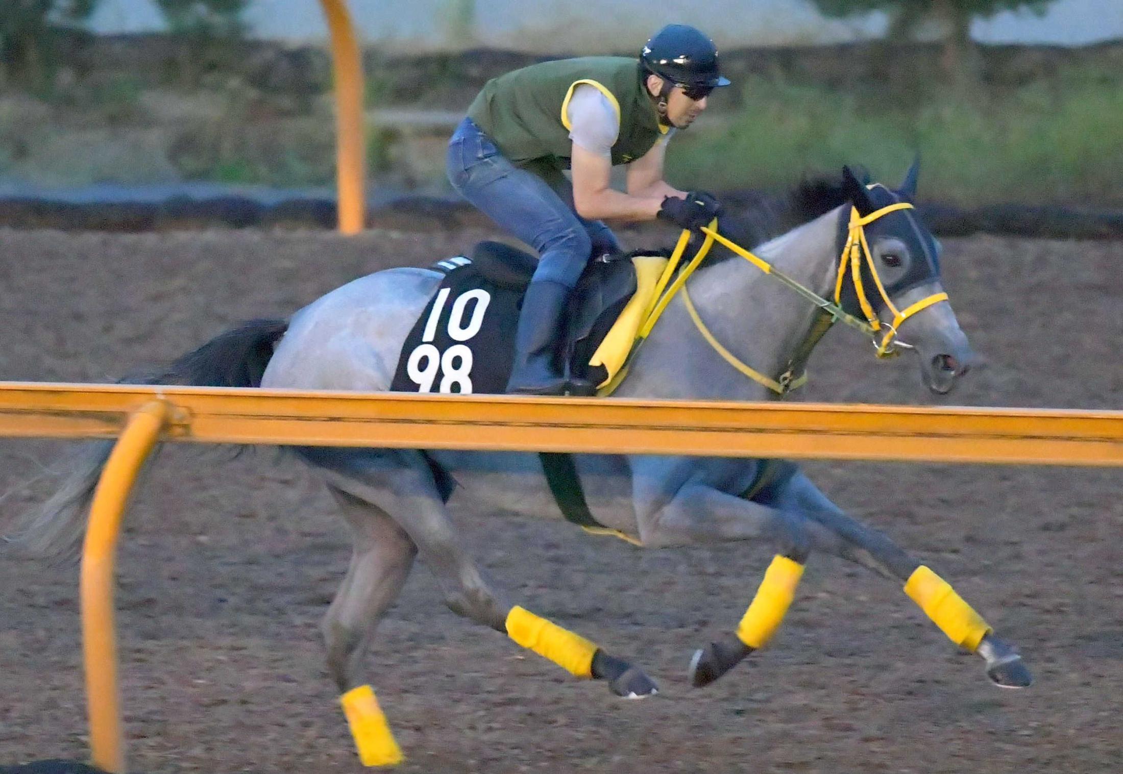 ローズｓ マリアエレーナ軽快走 ８日に逝った曽祖母ブロードアピールの血が騒ぐ 競馬ニュース Netkeiba Com